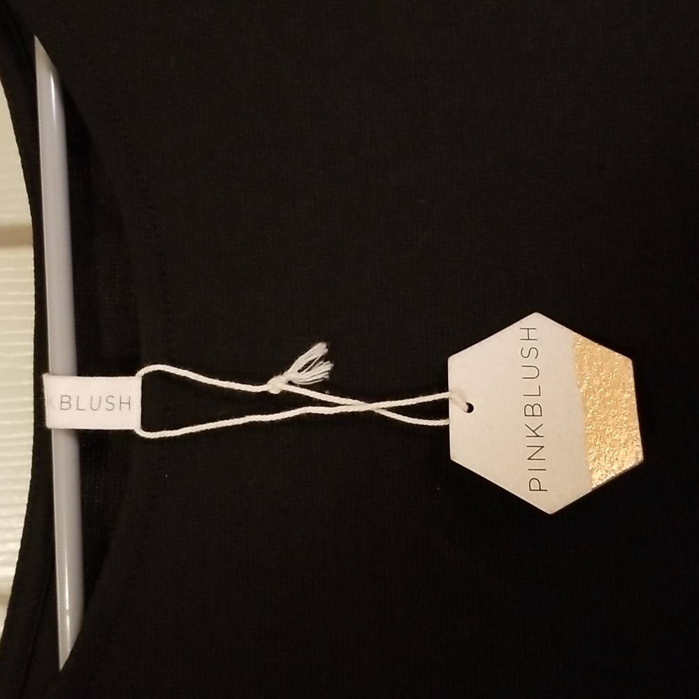 NWT Pinkblush Maternity Black Stretch Shift Dress - 1X - Picture 2 of 4